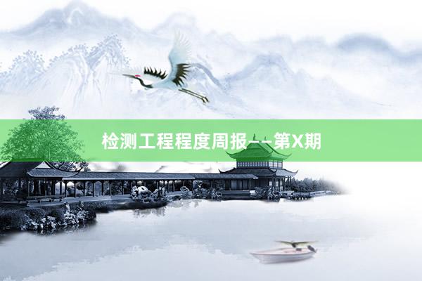 检测工程程度周报——第X期